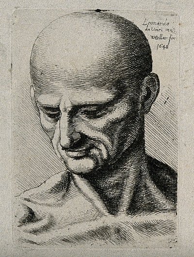 Bust of a Lean Male, Looking Down to His Lower Right by Leonardo da Vinci